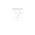 Flipkart