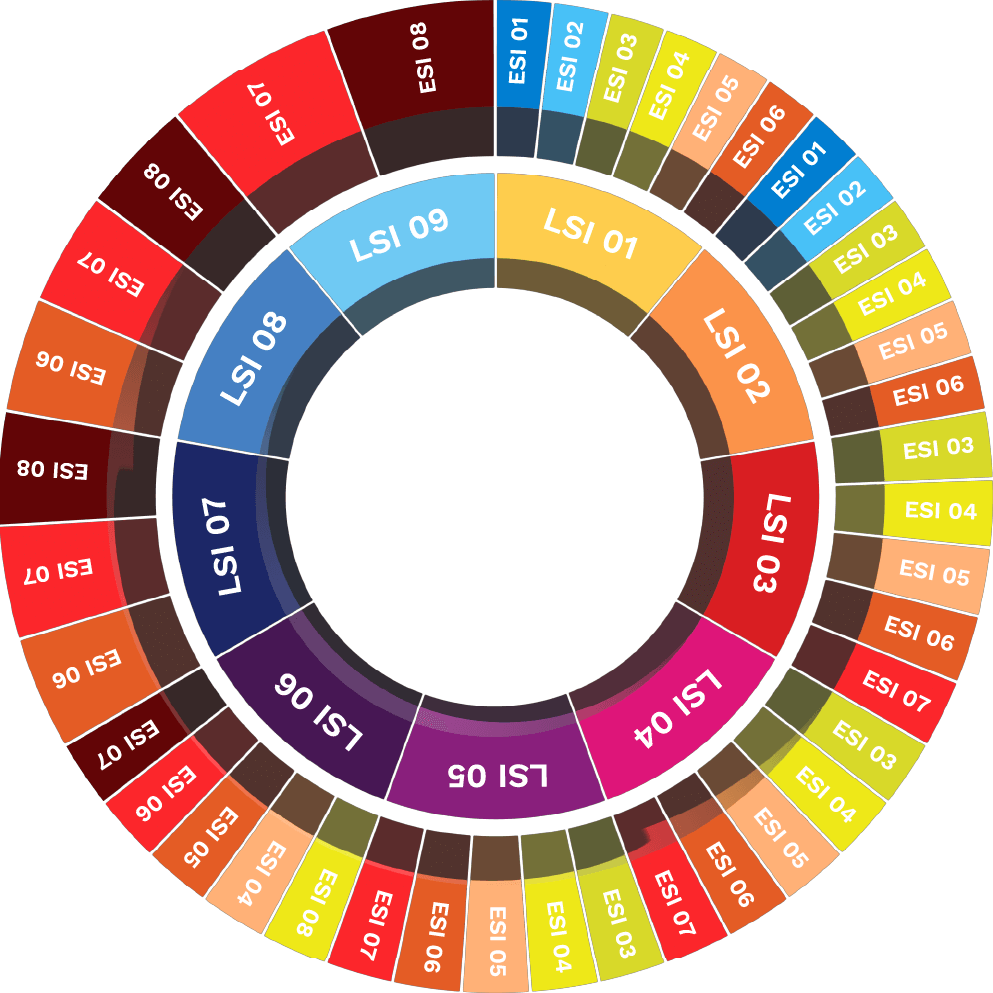ESI color wheel diagram for healthcare process visualization.